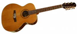 9-str&auml;ngad gitarr Topeka Jumbo