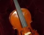 Fiolsats Violinsats Loccto