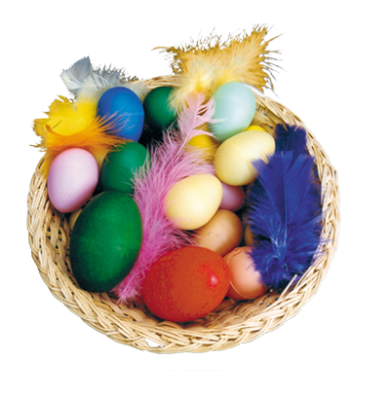 &Auml;GGMARACAS i naturlig storlek